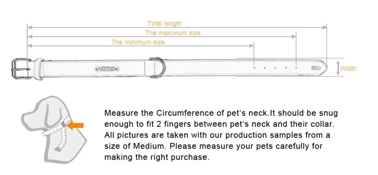 Luxury Name Tag Leather Collar