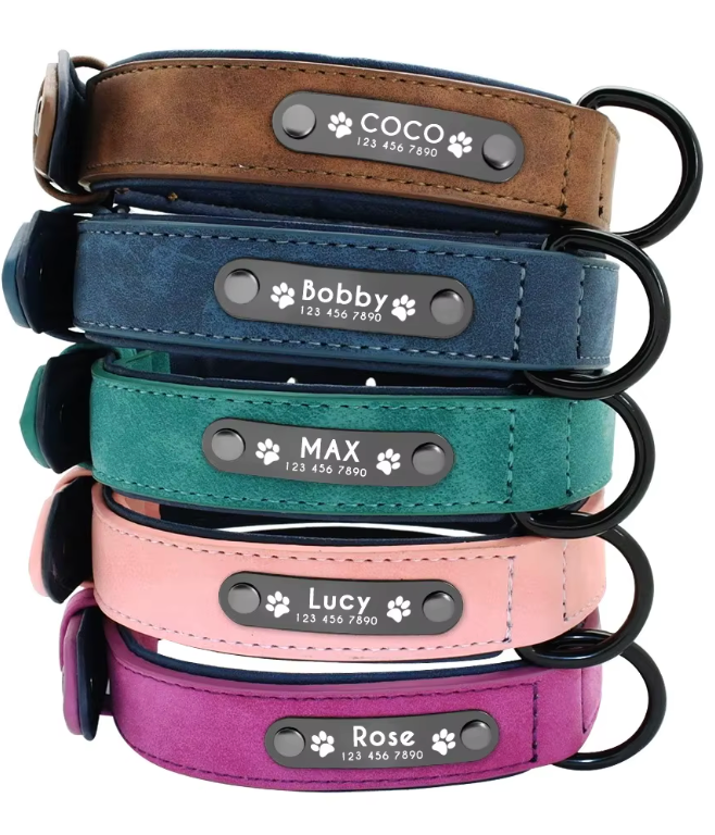 Luxury Name Tag Leather Collar